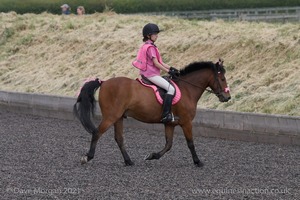 ISIS Dressage Challenge 2008